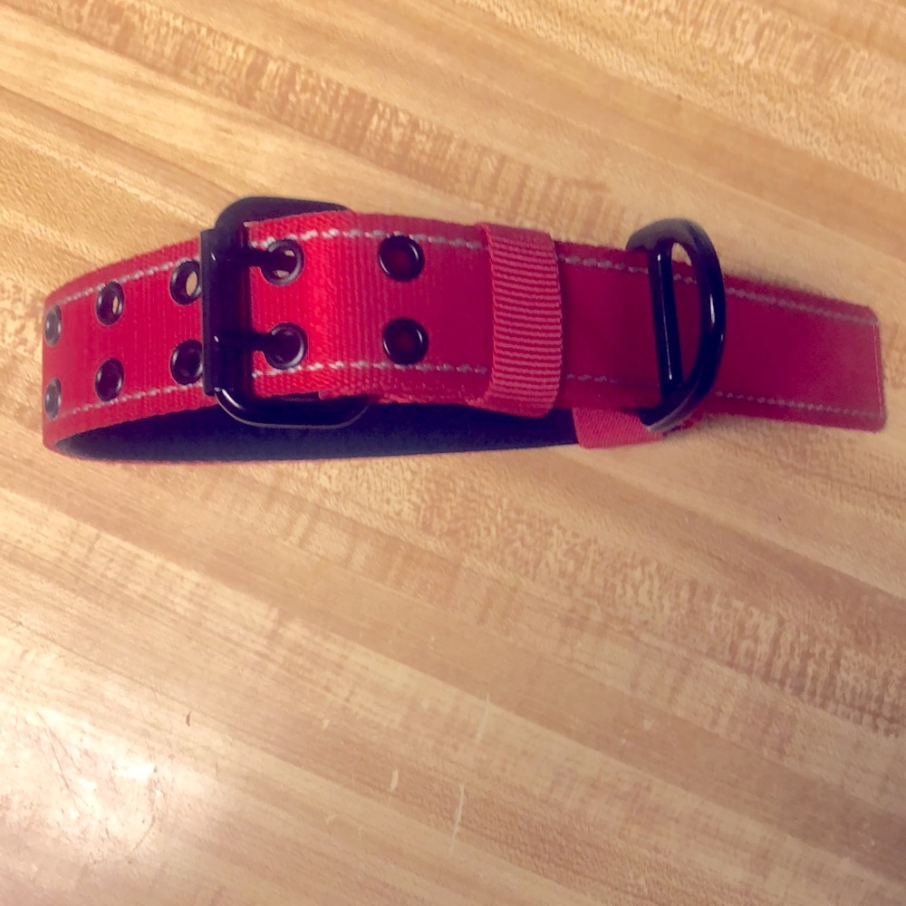 NWOT Kong Red Buckle Dog Collar Large